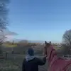 Heidi - @heidimitchell18 - TikTok