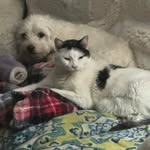 Heidi Criser Glasgow - @toglasgow - Instagram