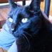 Heidi Glaze - Facebook