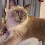 Heidi Glick - @glickhilary - Instagram