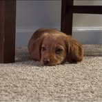 Heidi Kluth - Facebook