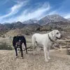 Casey 363636 - @heidigoetz - TikTok