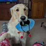 Heidi Goode - @goode_heidi - Instagram