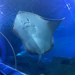 Heidi Goodwin - @heidigoodwin100 - Instagram