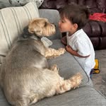 Heidi Koerber Goodwin - @heidikoerbergoodwin - Instagram