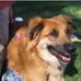 Heidi Todaro Goodwin - Facebook