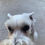 Heidi Goss Wilson - @hawilson23 - Instagram