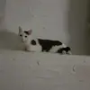 Heidi Gottschall - @heidigottschall - TikTok