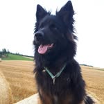 Heidi Gottwald - @heidi.gottwald - Instagram