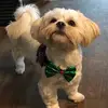 Heidi Graumann - @heidigrm - TikTok