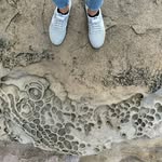 Heidi Greenberg - @heidigreenberg - Instagram