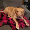 Heidi Griffin - @heidi.griffin3 - TikTok