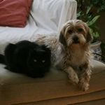 Heidi Griffin Carney - @heidicarney - Instagram