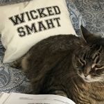 HeidiCat - @heidigriswold5987 - Instagram