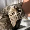 Heidi Gruber - @heidi.gruber2 - TikTok