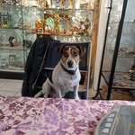 Heidi Gruber - @gruber2478 - Instagram