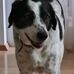 Heidi Gruber - Facebook