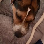 Heidi Gruber - @gruber999 - Instagram