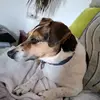 Heidi Gruber - @heidi.gruber0 - TikTok