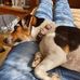 Heidi Gruber - Facebook