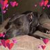 Heidi Schmid Hardin - Facebook