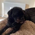 Heidi Harding - @heidi.harding.1694 - Instagram