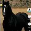 heidihardy379 - @heidihardy379 - TikTok