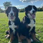 Heidi & Hazel - @heidinhazel.bmd - Instagram
