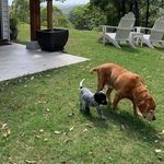 Heidi and Hazel - @heidi.and.hazel - Instagram