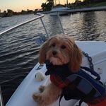 Heidi Healy - @healy0324 - Instagram