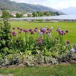 Heidi Hecht - @hei_di1964 - Instagram