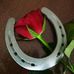 Heidi Hecke - Facebook