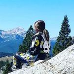 Heidi Helms Hawkins - @timberbluesaustralianshepherds - Instagram