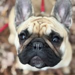 Heidi Helms Lazourack - @heidilazourack - Instagram