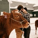 Heidi Hendrickson - @lil.cow.lover - Instagram