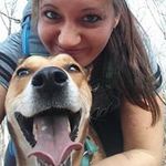 Heidi Herman - @meandpacey - Instagram