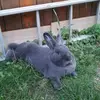 Hermann&Heidi - @herrmann.heidi - TikTok
