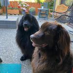 Heidi Hinz - @hinz4999 - Instagram