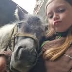 Hedi Hollstein - Facebook