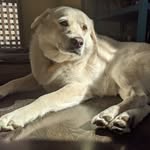 A B - @heidihoser - Instagram