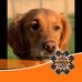 Heidi Hubbard - Facebook