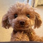 Heidi Spooky Hubbard - @heidi_in_paradise - Instagram