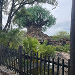 Heidi Hull - @heidiotd - Instagram