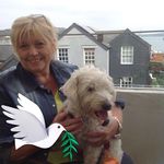 Heidi Hull - @hull4263 - Instagram