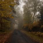 Heidi Hutton - Facebook