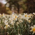 The Secret Garden - @heidihutton2023 - Instagram