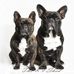 Heidi Inman - Facebook
