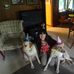 Heidi Inman - Facebook