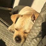 @heidiinman2345666 - Instagram