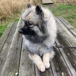 Heidi Jacobi - @heidijacobi4 - Instagram